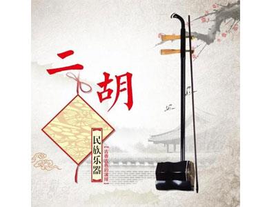 招聘德宏二胡家教老师